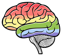 Fototapeta premium Colorful Human Brain Illustration Depicting Thought Process and Mind Power