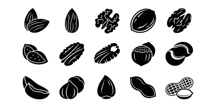 Black and white illustration of various nuts and seeds collection
