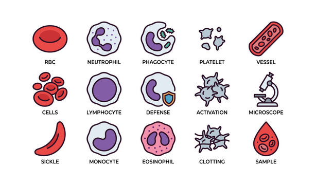Illustrated human blood components and functions: cells, defense, activation, clotting, samples