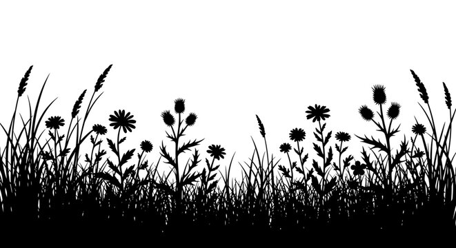 Silhouette of wild grasses and flowers against a white background, showcasing a natural meadow scene.