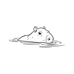 cute polar bear cub resting in water minimalist line drawing illustration © VECTOR