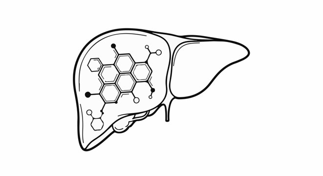 Line art illustration of a liver containing a molecular structure
