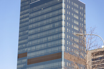Obraz premium Modern office building facade with glass windows and tree branches in foreground