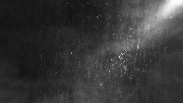 Black and white abstract background with floating dust particles in a spotlight