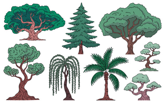flat design illustration of diverse trees and palm types in green isolated on white background