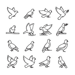 Fototapeta premium Doves in Various Poses and Actions Simple Line Art Style Isolated on White Background