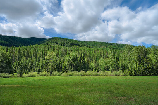 2021-06-16 FOOTHILLS OF THE BITTERROOT MOUNTAINS NEAR THE SHOSHONE PARK IN IDAHO WITH A LUSH FIELD TREES AND A NICE CLOUDY SKY