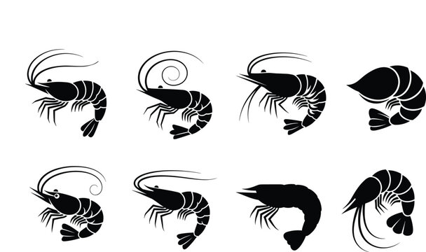Shrimp silhouette collection with different poses and styles, seafood crustacean elements in black vector illustration set