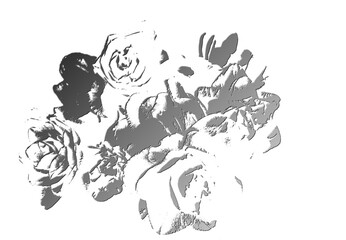 szare kontury kwiatów na białym tle, strukturalna grafika kwiatów, efekt tłoczenia, struktura z efektem tłoczenia, teksturowane kwiaty w stylu vintage, embossed floral pattern, embossed effect