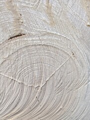 Fototapeta premium Close-up view of the intricate patterns and textures of a freshly cut tree stump, revealing its natural wood grain and growth rings.