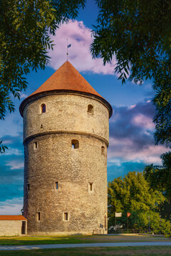 Kiek in de Kok medieval artillery tower in Tallinn