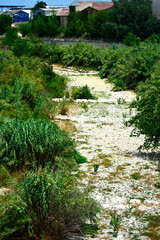 wyschnięte koryto rzeki, sucha rzeka w Hiszpani, wysuszone koryto rzeki bez wody, a dried-out riverbed without water, dried up riverbed © kateej