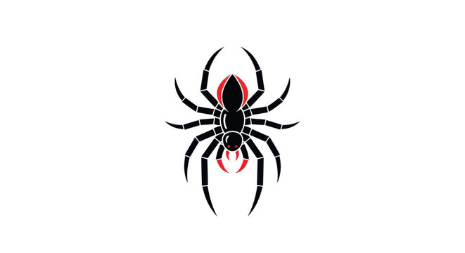 Black widow spider graphic illustration