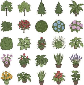 Garden Plants and Trees Collection, Vector Hand Drawn Botanical Icons Set