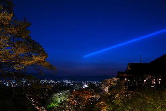 Illuminated Kiyomizu-dera Temple and full bloom Cherry Blossoms at night in Kyoto, Japan - 京都 清水寺の夜間特別拝観 満開の桜のライトアップと本堂の舞台 日本の春の絶景