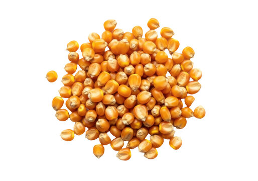 Pile of raw dried corn kernels isolated on transparent background