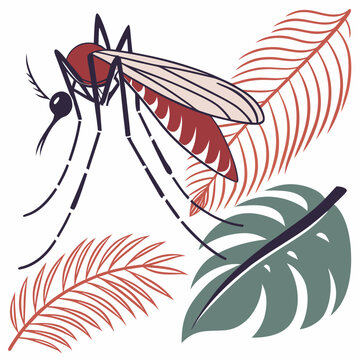 Aedes mosquito vector illustration with tropical leaves background, perfect for dengue fever awareness, malaria prevention campaign material.