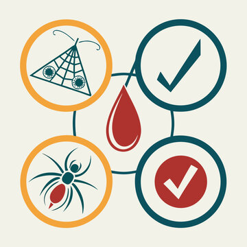 Integrated pest management with spider, web, blood drop, and checkmarks, bug control solutions, insect eradication services.