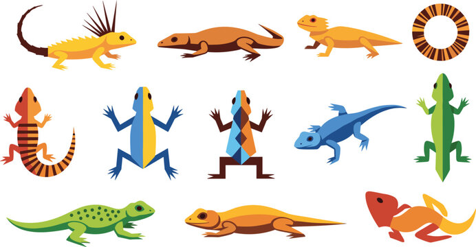 Gecko Lizard Vector Set Colorful Reptile Animal Collection Illustration