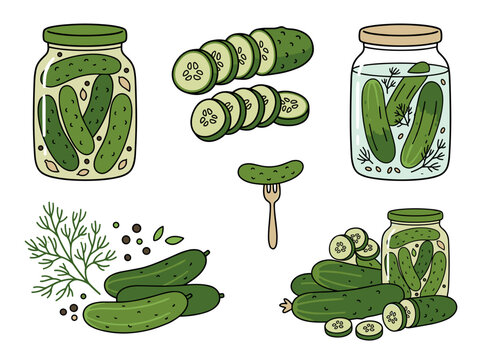 Preserved food jars and pickles illustration, fermented cucumber snacks in simple organic hand-drawn style