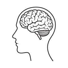 Obraz premium Line art depicting a human head in profile with a detailed brain