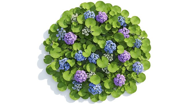 A vibrant overhead view of a lush hydrangea flower arrangement in full bloom