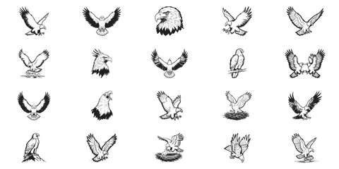 Obraz premium Eagle collection featuring majestic birds of prey in flight hunting and perched positions for emblem design.