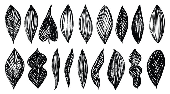 Grunge brush stroke leaves collection. Hand drawn contemporary grungy vector leaf silhouettes set. Textured plants leaves