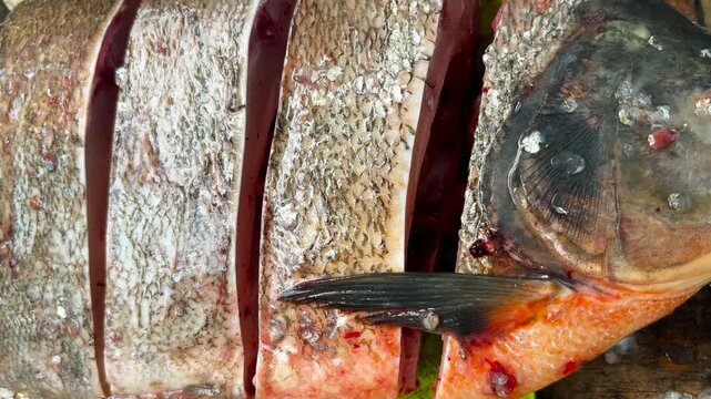 A detailed image of a freshwater pomfret fish that has been cut into pieces for cooking. A very fresh and healthy pomfret fish.