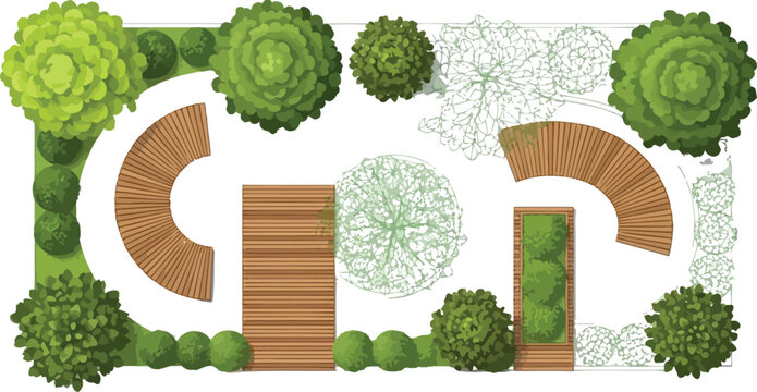 A detailed top-down vector illustration showcasing a modern landscape architecture plan for a garden, featuring curved wooden benches, various green shrubs, and trees on a white background.