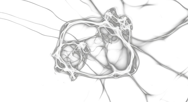 Intricate patterns of white caustic light shimmer on a transparent background.