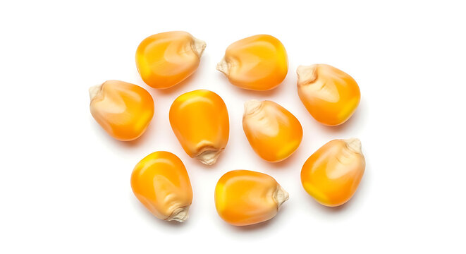 Group of raw yellow corn kernels
