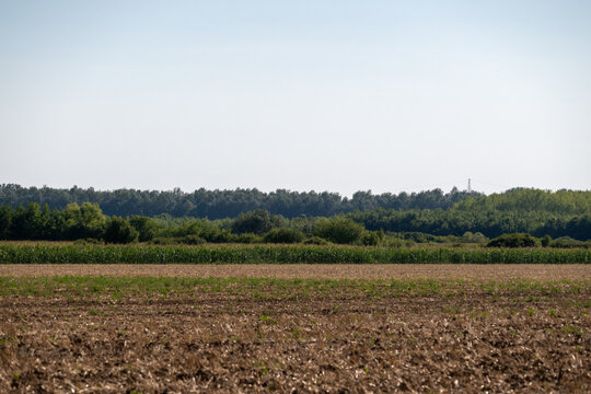 Rural farmland landscape with empty sky