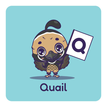 Cute quail holding flag with letter Q for fun educational purposes, illustrations