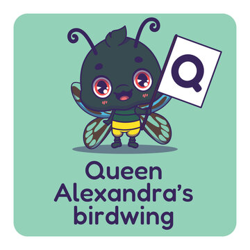 Cute Queen Alexandra's birdwing holding flag with letter Q for fun educational purposes, illustrations