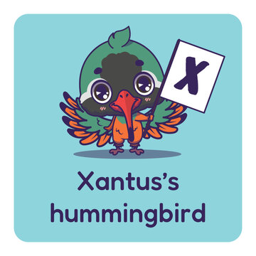 Cute xantus's hummingbird holding flag with letter X for fun educational purposes, illustrations
