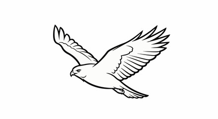 Obraz premium Black and white line drawing of a bird of prey in flight