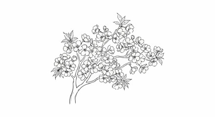 Fototapeta premium Delicate sketch of a blossoming tree branch with intricate floral detail