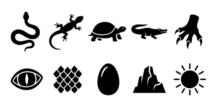 Reptile animal icons and related natural elements are displayed as a comprehensive set of black silhouettes, ideal for various design applications.