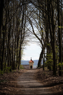 Detail of small historic chapel with a cross viewed through a natural tunnel of trees along a forest path in Holic, Slovakia