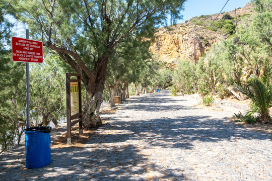 Sunny cobblestone walkway lined with tamarisk trees near Mavra Volia beach on Chios island Greece