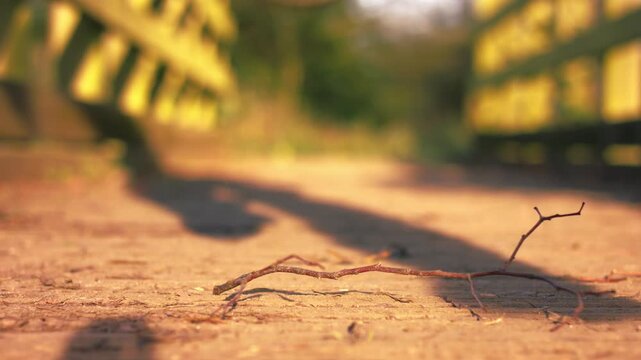 Foot in boots stands on twig on wooden bridge