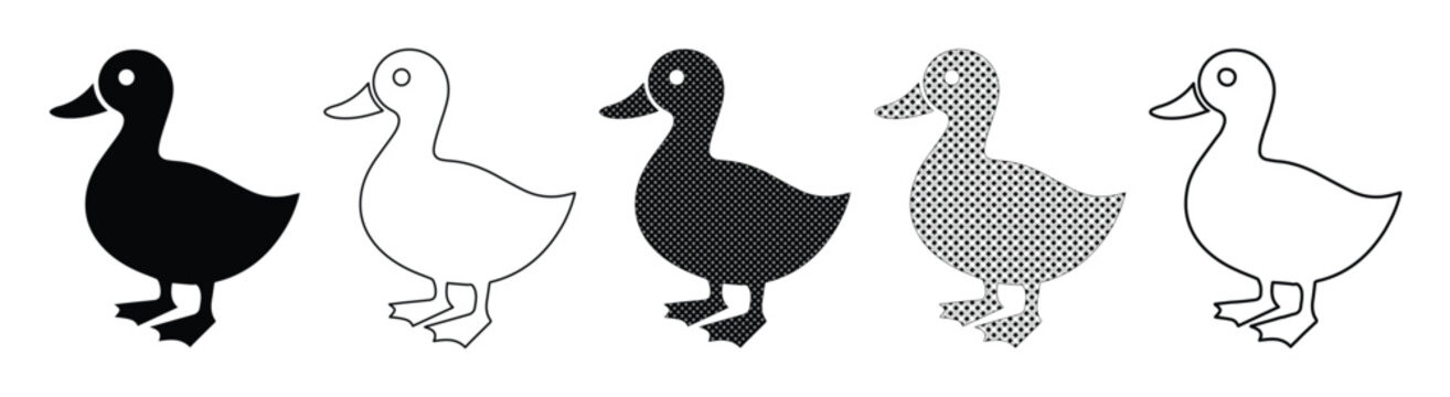 Minimalist duck icon set, 5 vector duckling silhouettes in black and white, flat farm animal bird symbols for web design and infographics