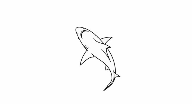 Hand drawn outline of a grey shark swimming upwards against a white background