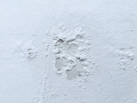 The problem of peeling paint on the plaster walls of buildings and houses.