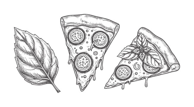 Hand drawn pizza slices and basil leaf food