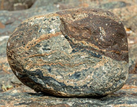 Mottled river rock, a rounded boulder with banded patterns, rests atop similar substrate