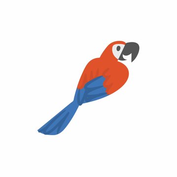 Animated cartoon parrot with orange body and blue tail perched, showing simple playful tropical bird design