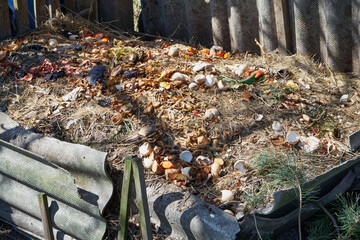 kompostownik  © Marcin Łazarczyk