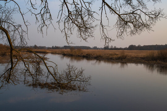 Rzeka Narew u schyłku zimy